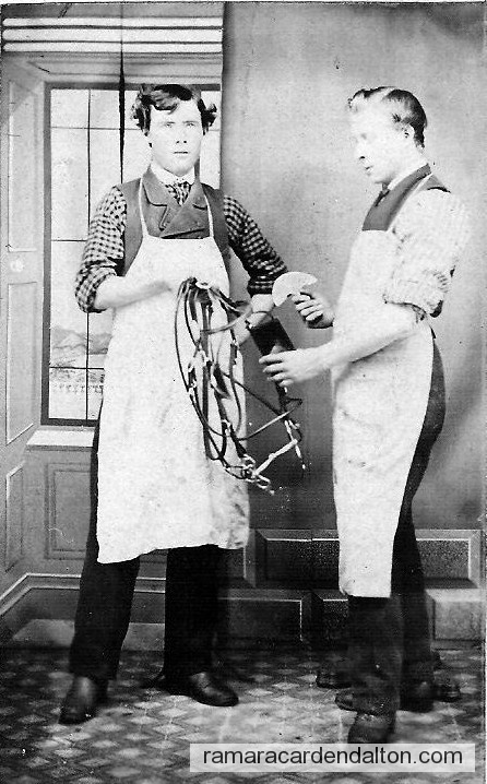 Photo of the day 557 - Photo of the day