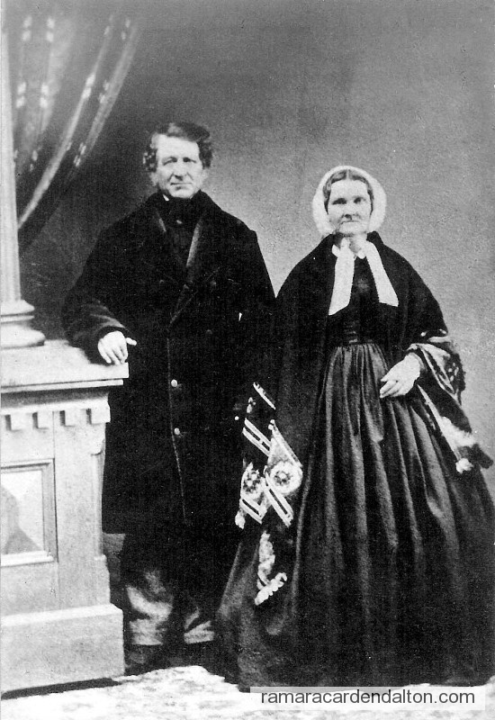 Photo of the day 559 - Photo of the day