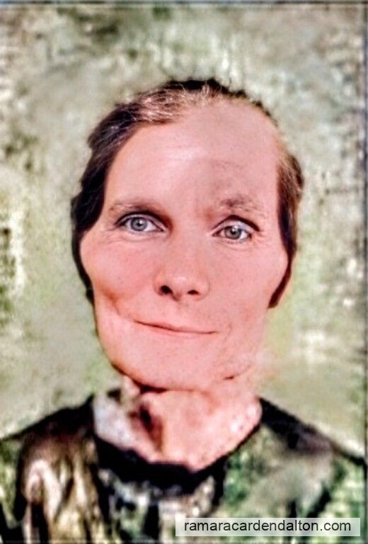 Photo of the day 5620 - Photo of the day