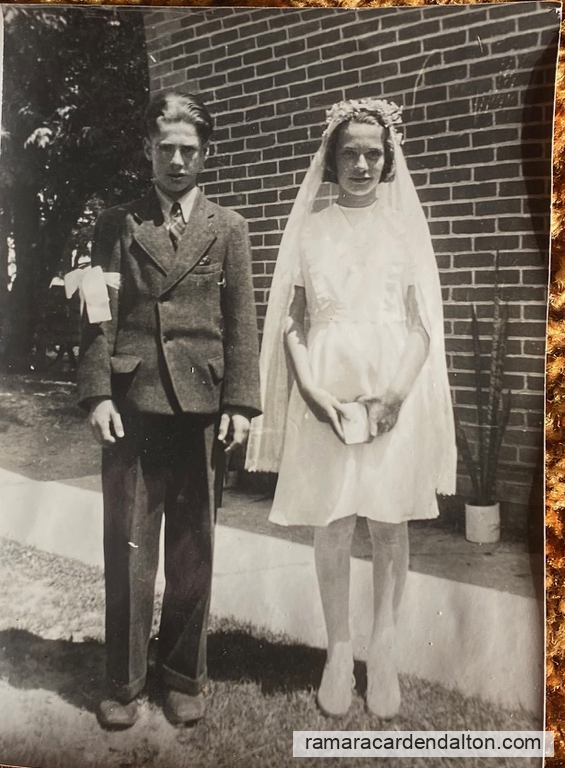 Photo of the day 5677 - Photo of the day