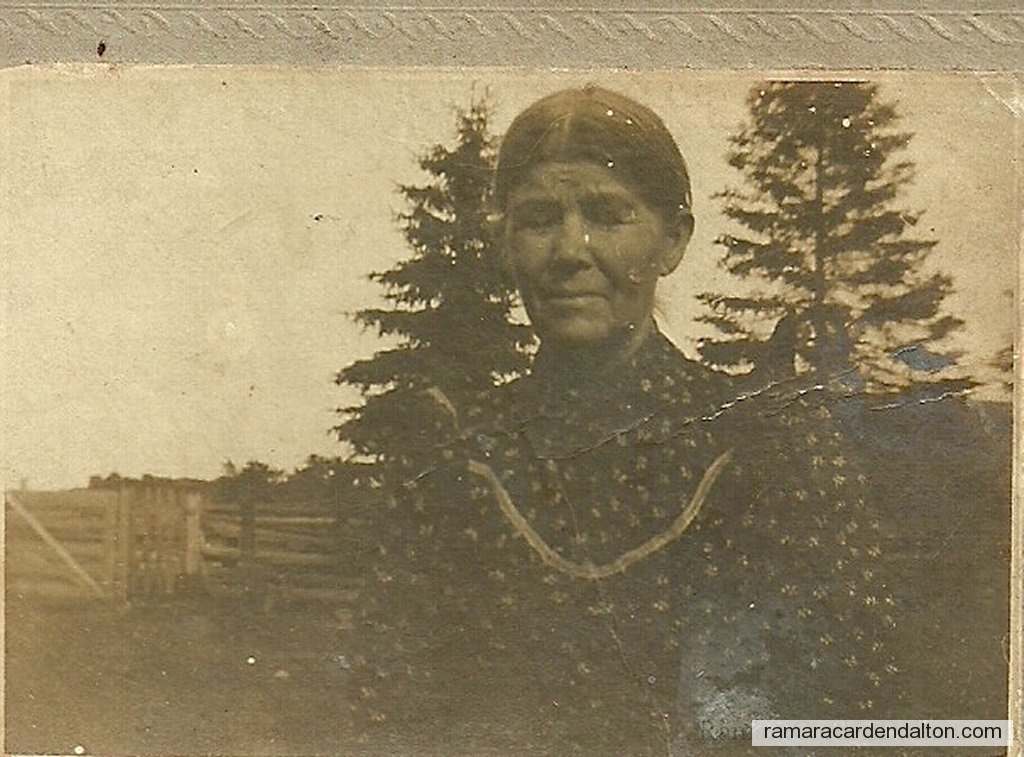 Photo of the day 59 - Photo of the day