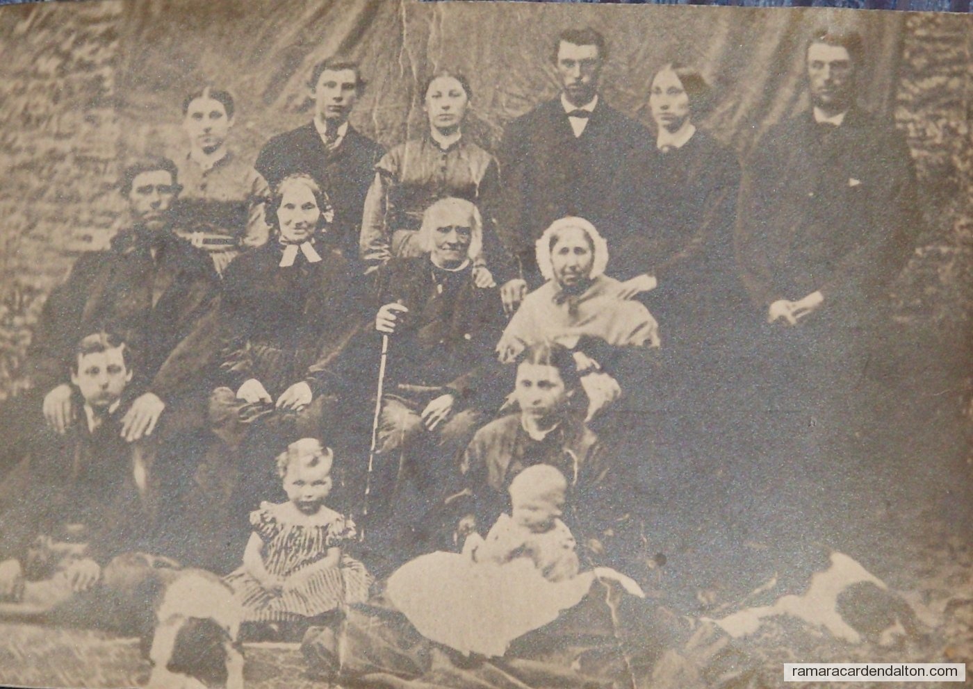 Photo of the day 620 - Photo of the day