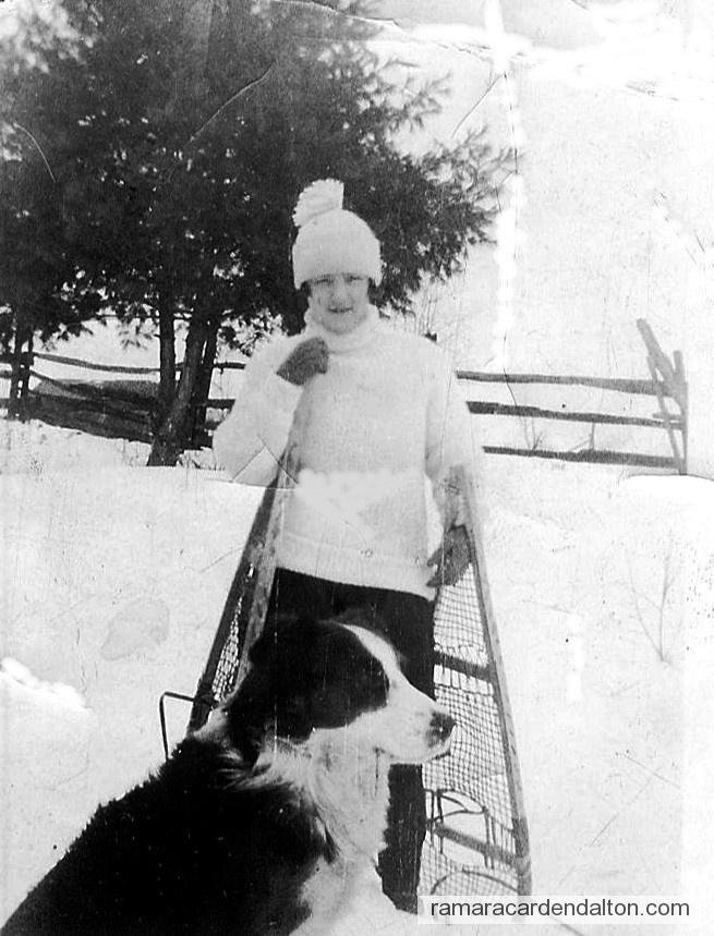 Photo of the day 628 - Photo of the day