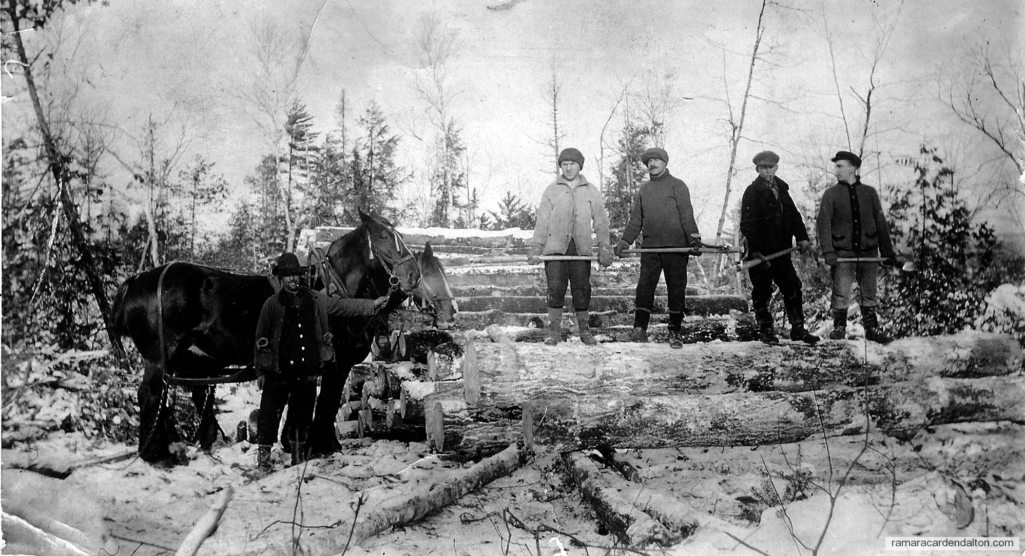 Photo of the day 630 - Photo of the day