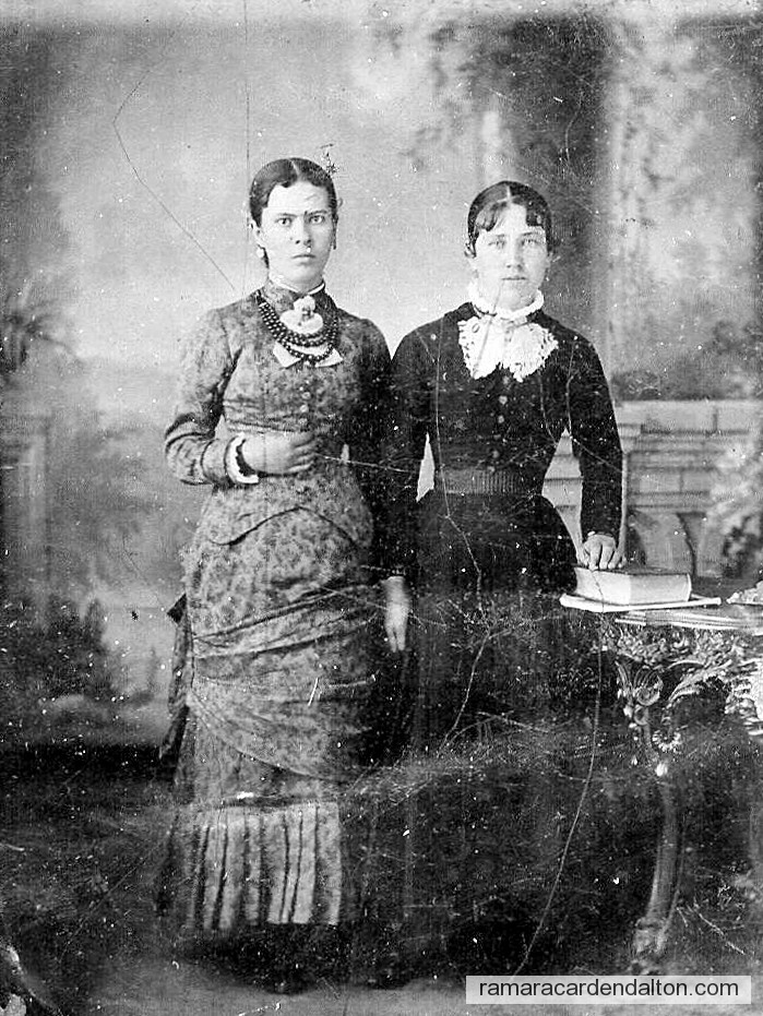 Photo of the day 641 - Photo of the day