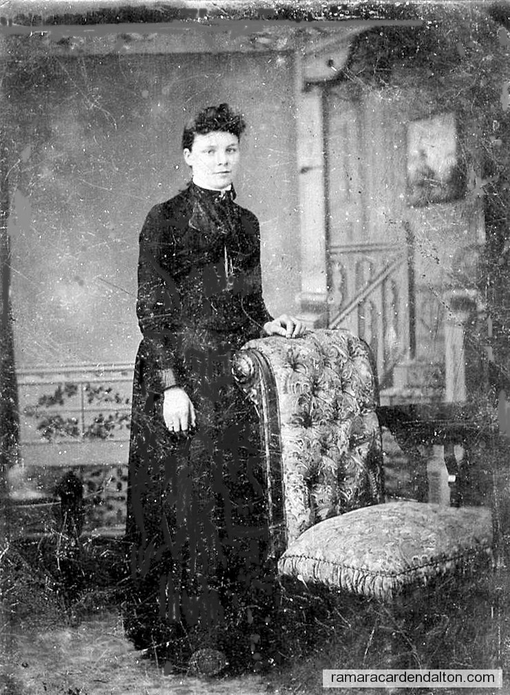 Photo of the day 645 - Photo of the day