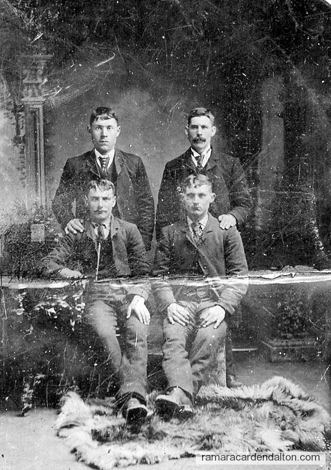 Photo of the day 646 - Photo of the day