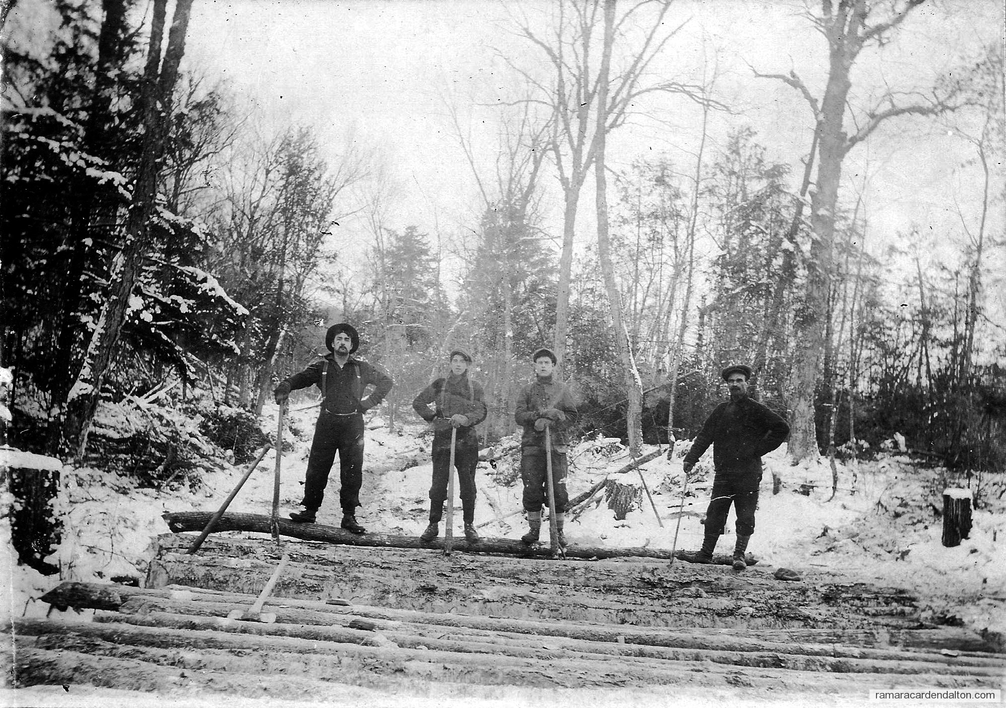 Photo of the day 648 - Photo of the day