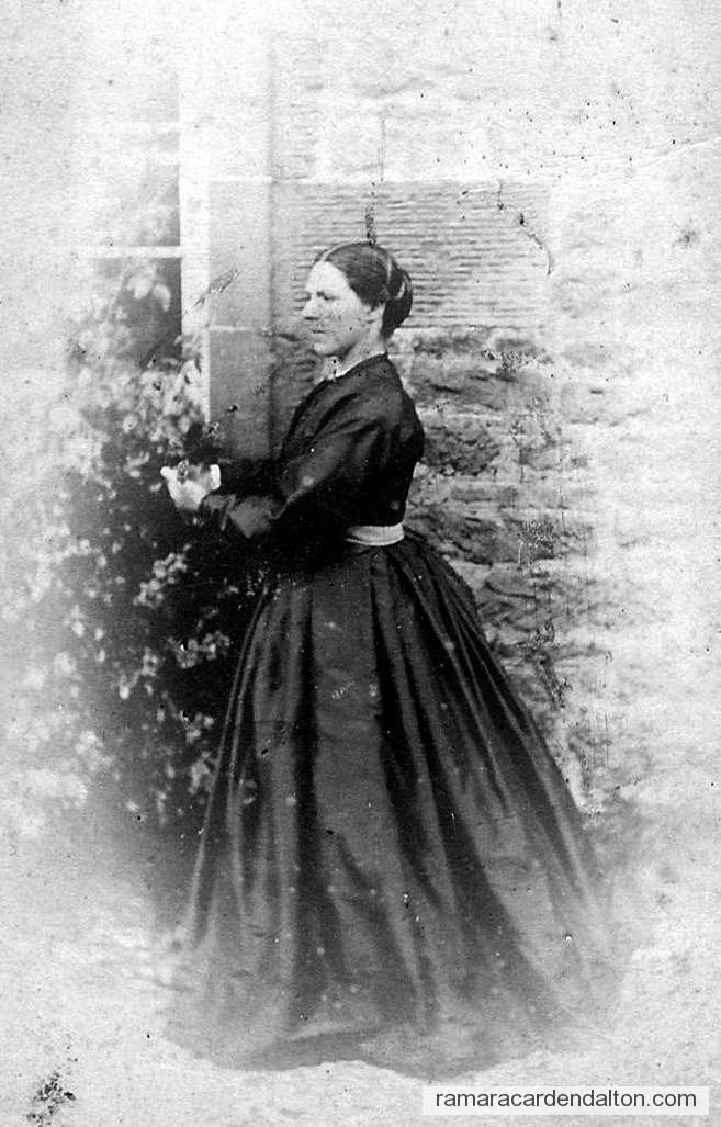 Photo of the day 659 - Photo of the day