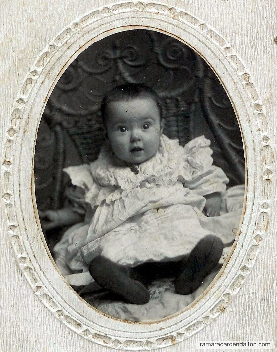 Photo of the day 666 - Photo of the day