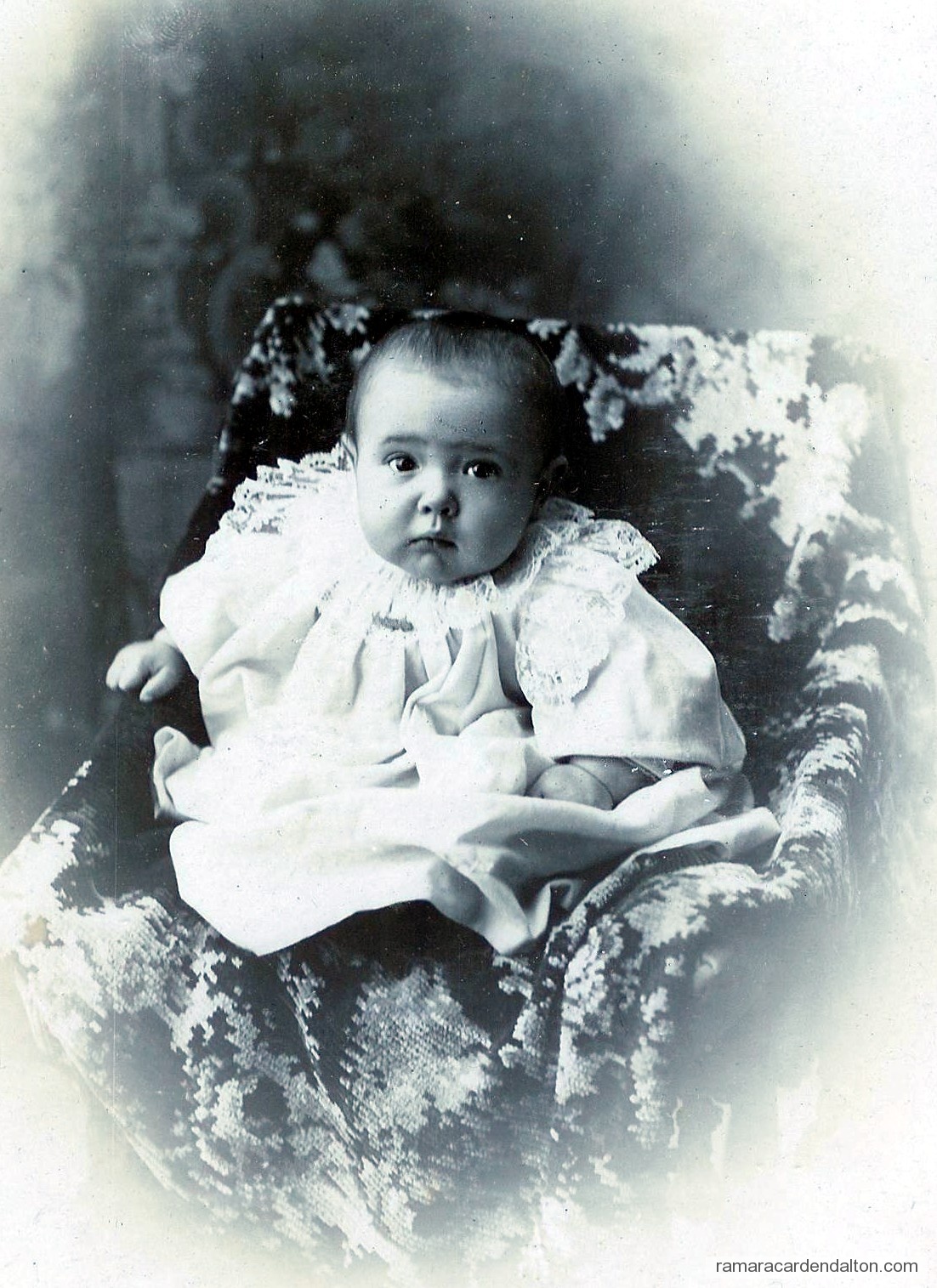 Photo of the day 668 - Photo of the day