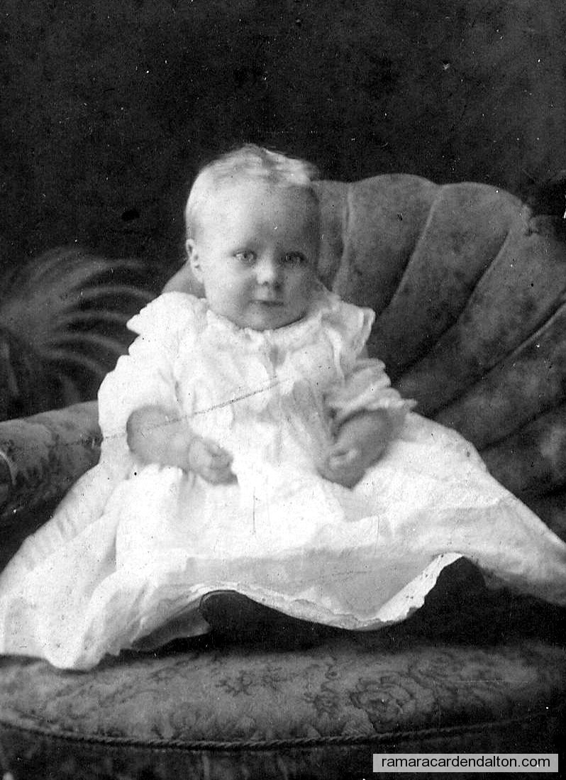 Photo of the day 669 - Photo of the day