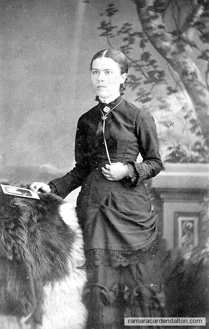 Photo of the day 677 - Photo of the day