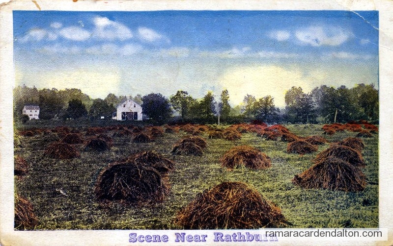 Photo of the day 689 - Photo of the day