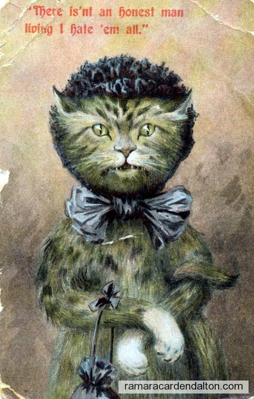 Photo of the day 704 - Photo of the day