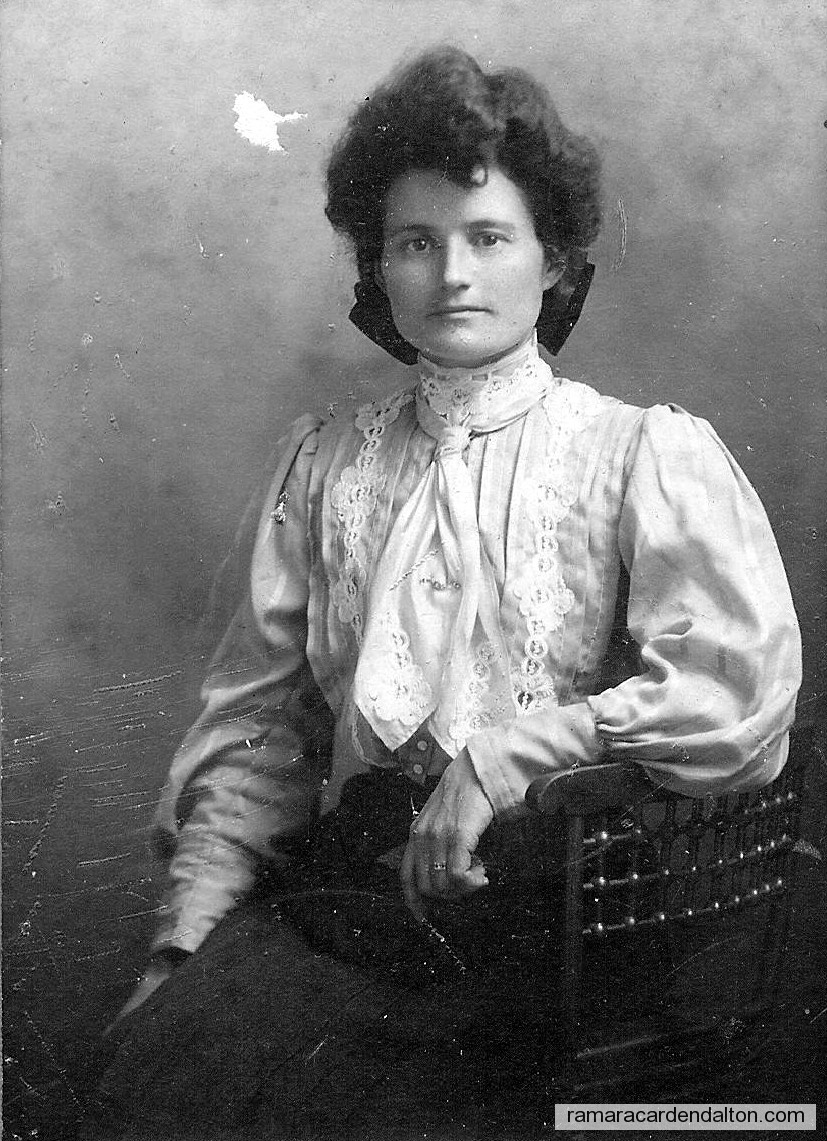 Photo of the day 733 - Photo of the day