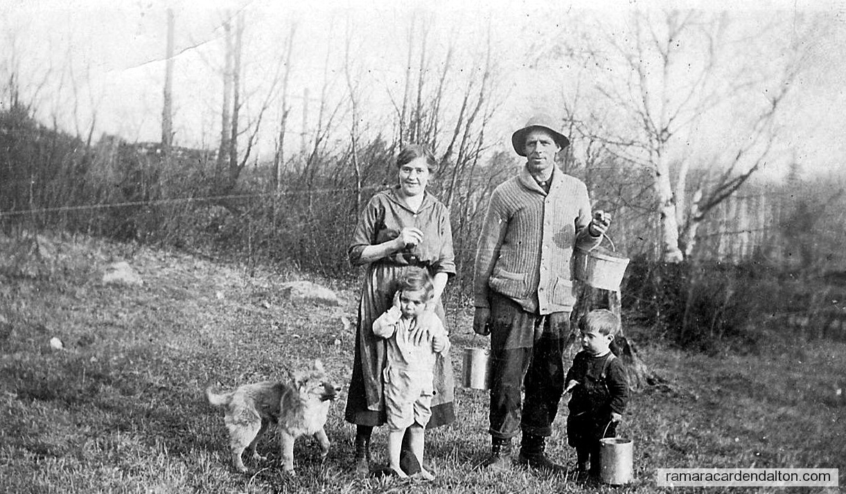 Photo of the day 735 - Photo of the day