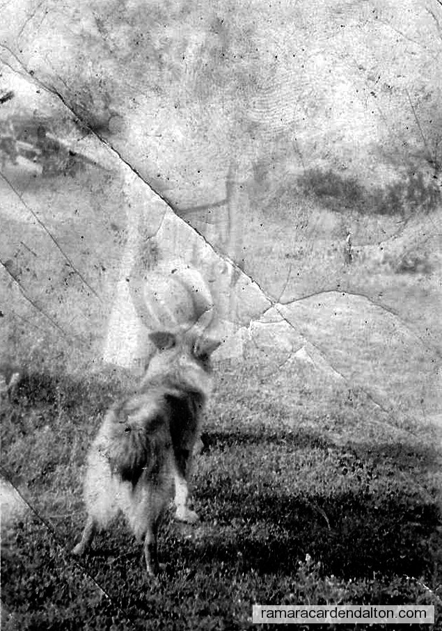 Photo of the day 739 - Photo of the day