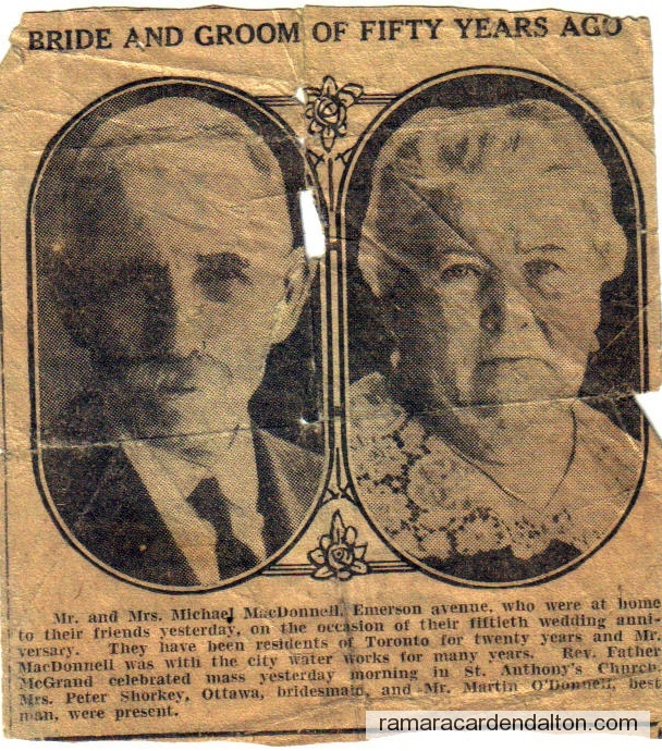 Photo of the day 74 - Photo of the day