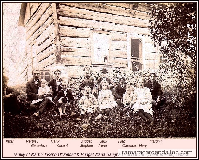 Photo of the day 769 - Photo of the day