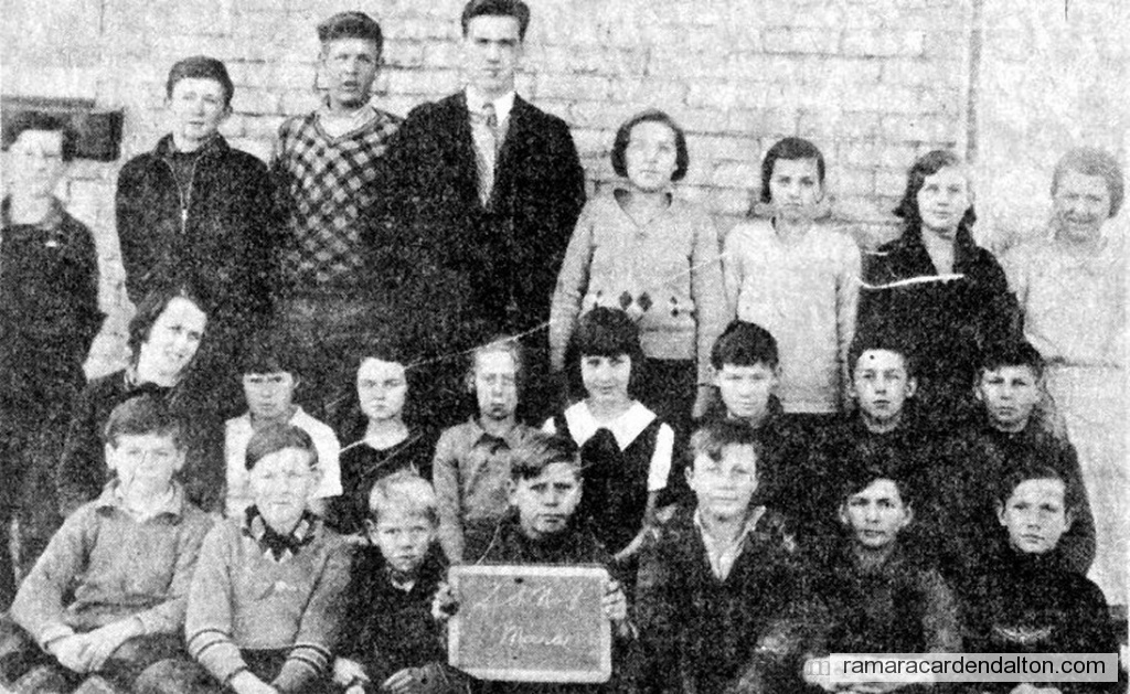 Photo of the day 77 - Photo of the day