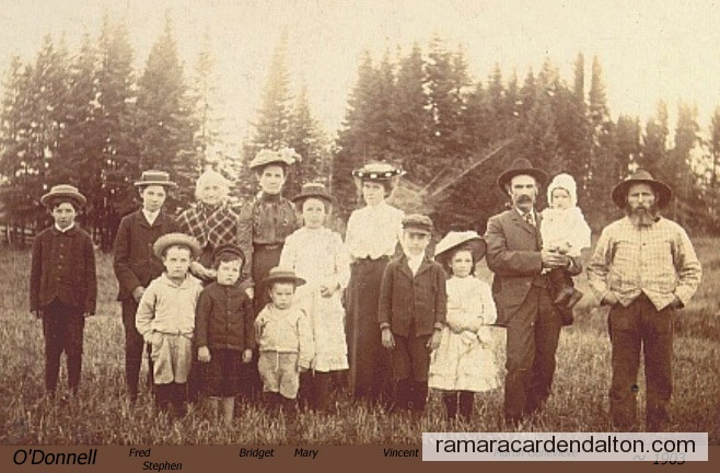 Photo of the day 770 - Photo of the day