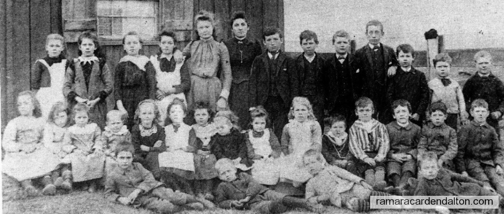 Photo of the day 79 - Photo of the day