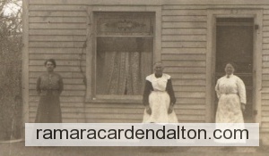 Photo of the day 791 - Photo of the day