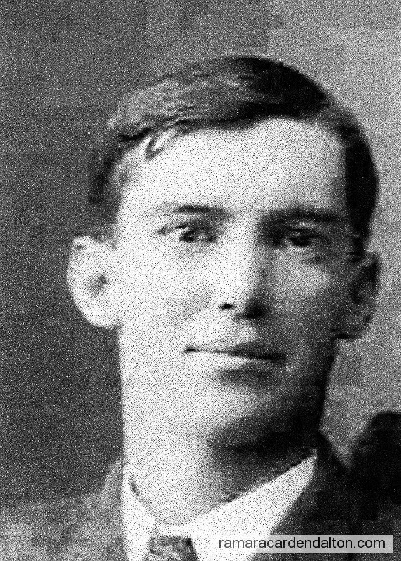 Photo of the day 797 - Photo of the day