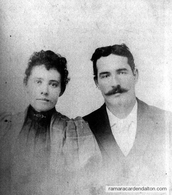 Photo of the day 798 - Photo of the day