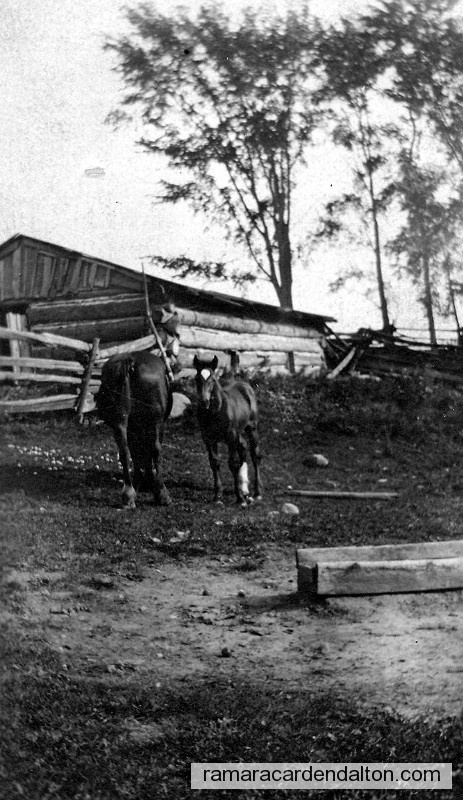 Photo of the day 814 - Photo of the day