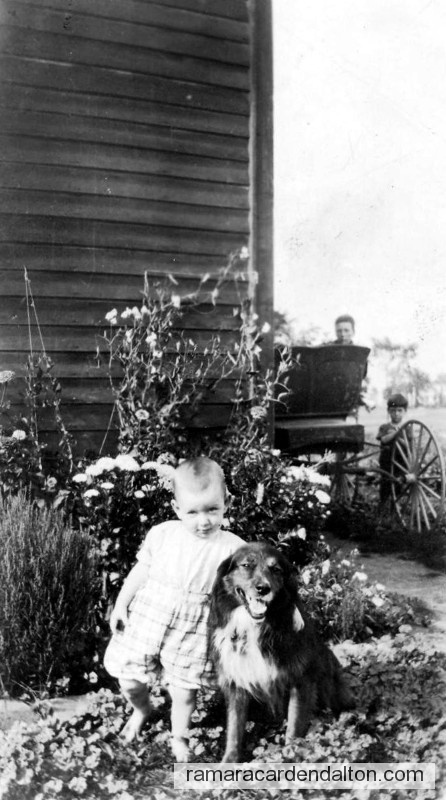 Photo of the day 815 - Photo of the day