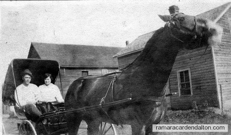 Photo of the day 828 - Photo of the day