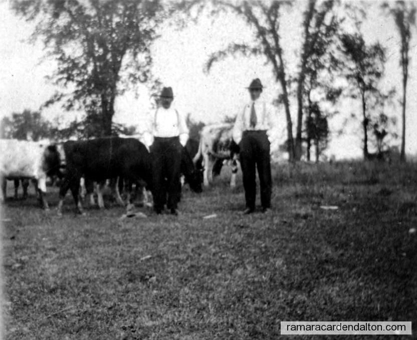 Photo of the day 837 - Photo of the day