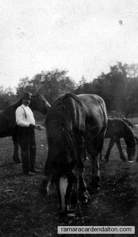 Photo of the day 838 - Photo of the day