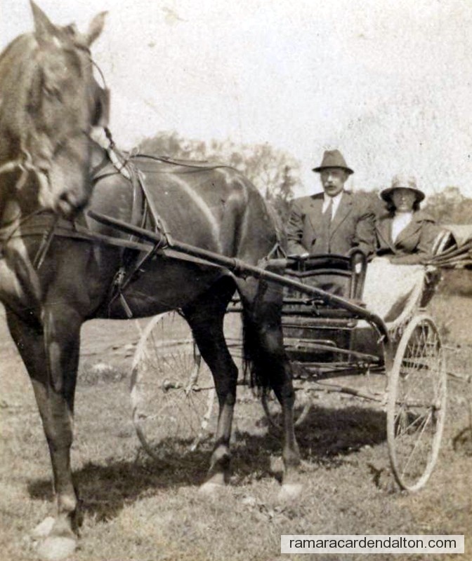 Photo of the day 840 - Photo of the day