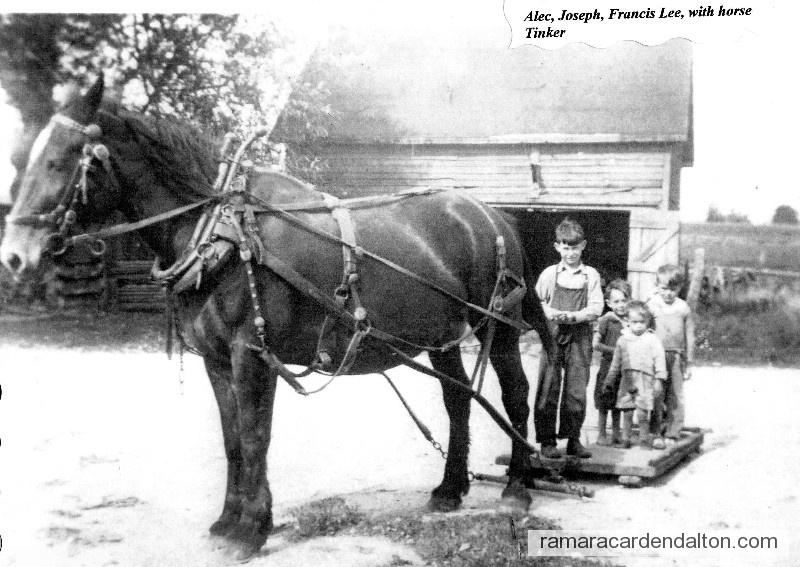 Photo of the day 847 - Photo of the day