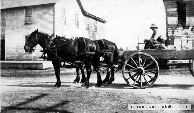 Photo of the day 854 - Photo of the day