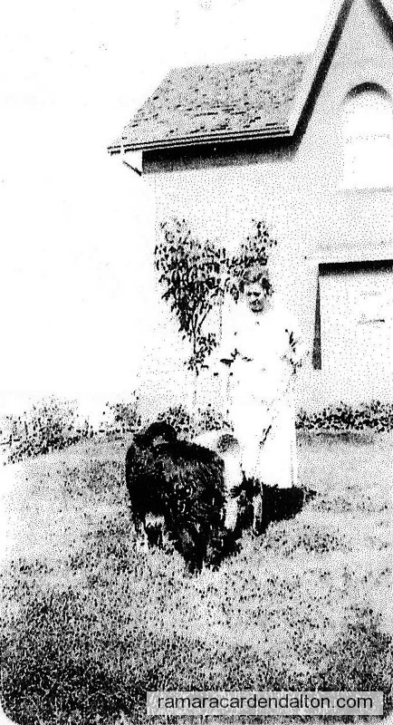 Photo of the day 859 - Photo of the day