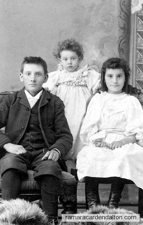 Photo of the day 869 - Photo of the day