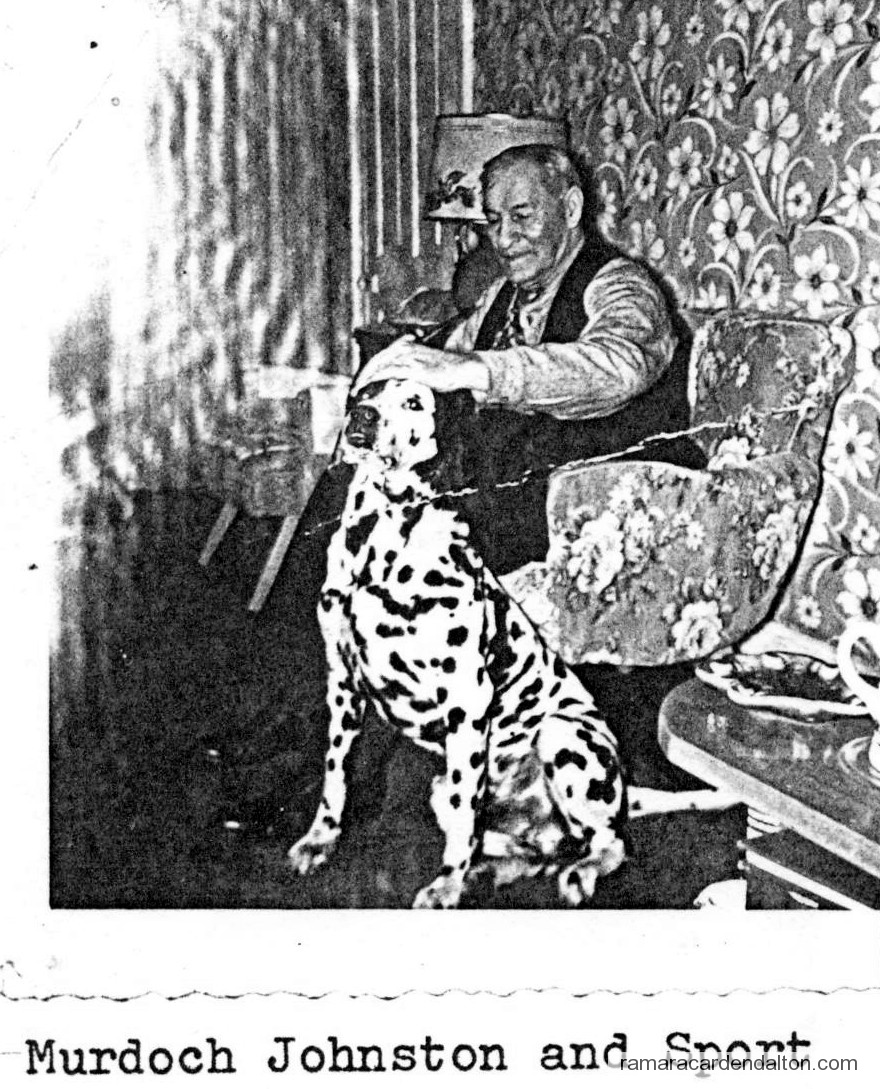 Photo of the day 878 - Photo of the day