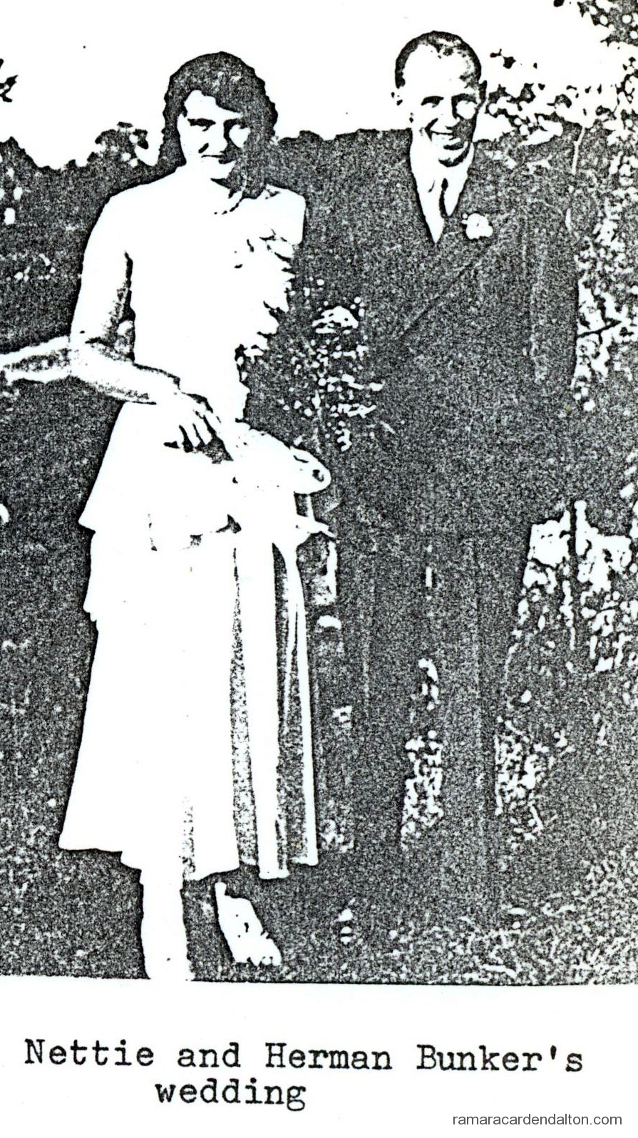 Photo of the day 881 - Photo of the day