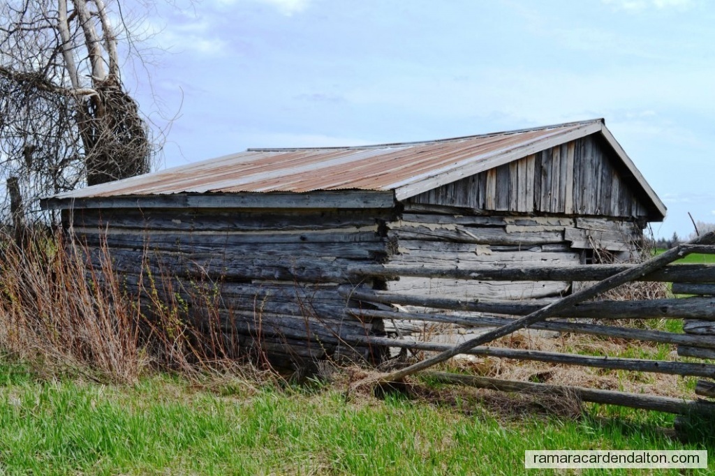 Photo of the day 90 - Photo of the day