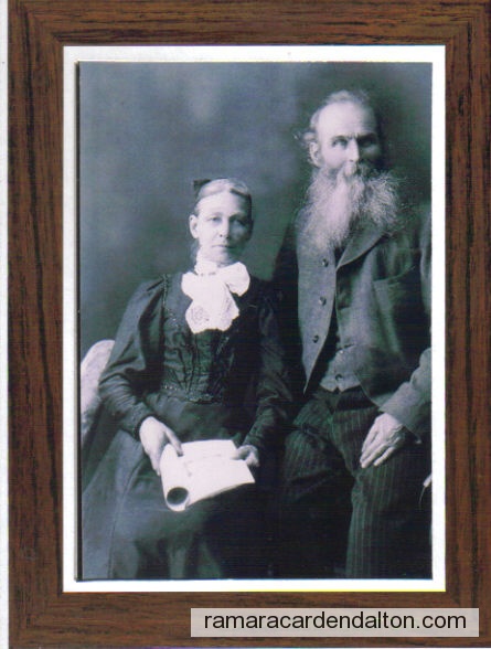 Photo of the day 915 - Photo of the day