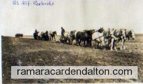 Photo of the day 942 - Photo of the day