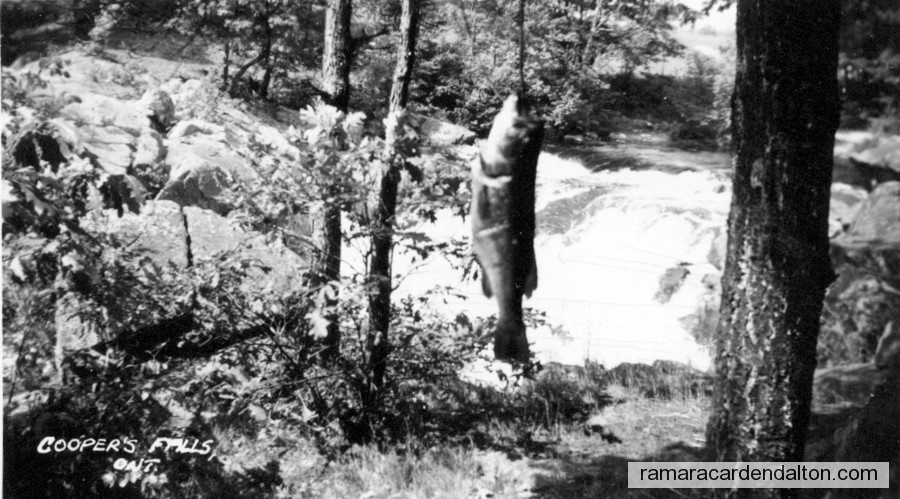 Photo of the day 979 - Photo of the day