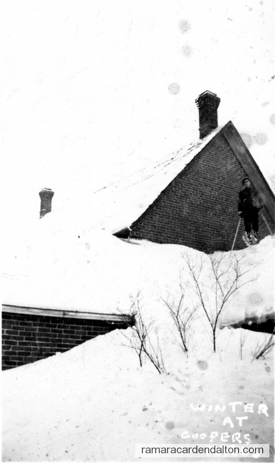 Photo of the day 986 - Photo of the day