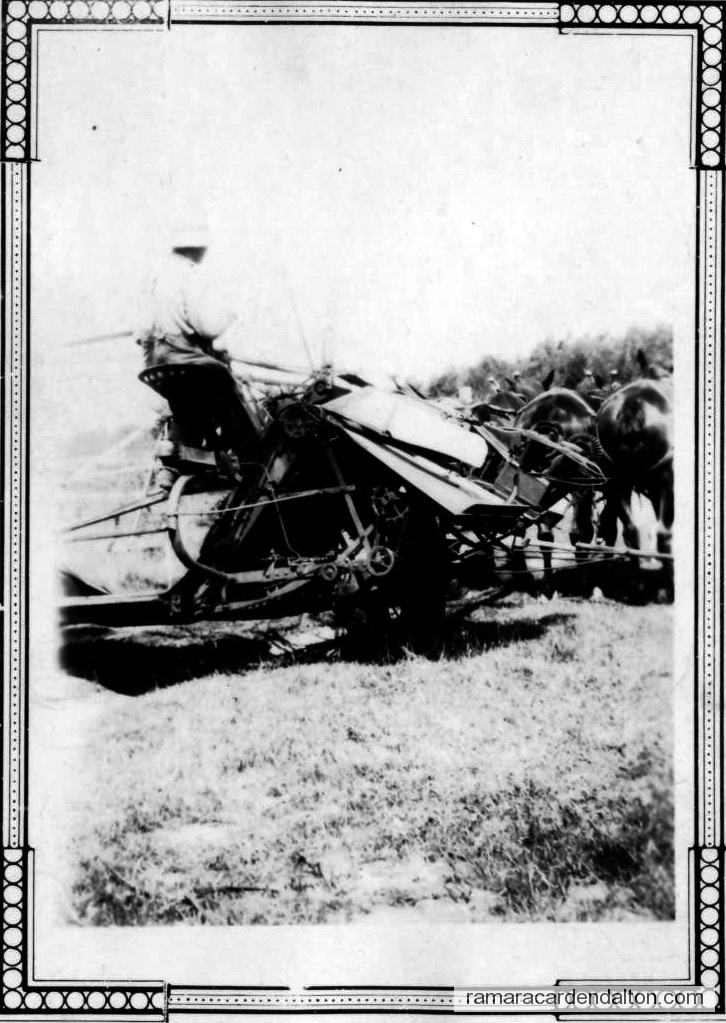 Photo of the day 990 - Photo of the day