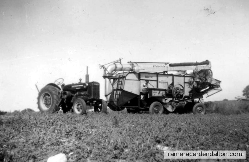 Photo of the day 994 - Photo of the day